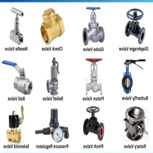 Types of Discharge Valves.png