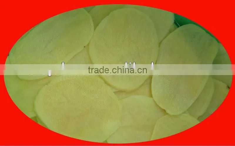 stainless steel Garlic processing machine (for chips cutting)