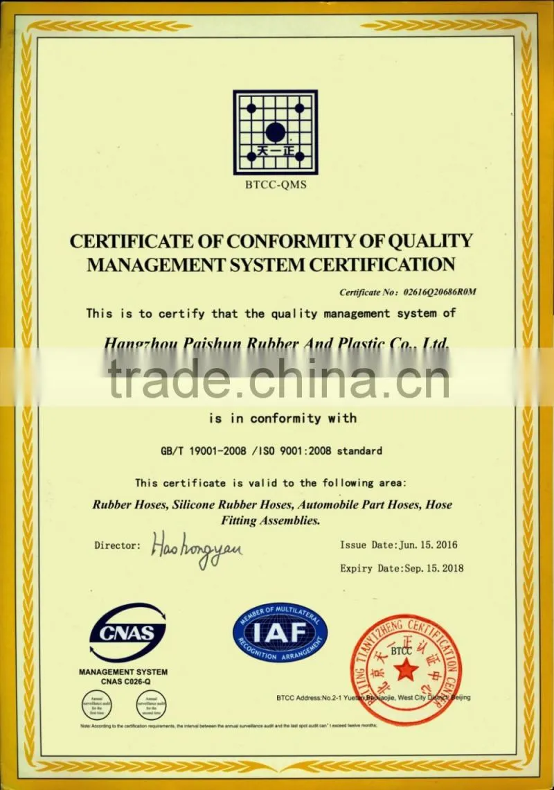 Hot Sale Hydraulic Rubber Hose SAE 100R1