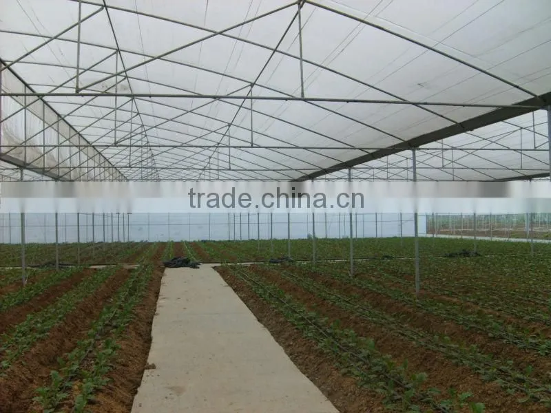 hot galvanized steel large greenhouse