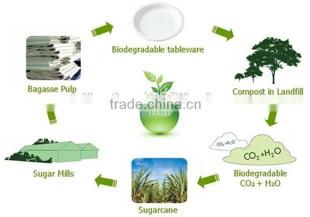 8inch disposable corn starch material plates