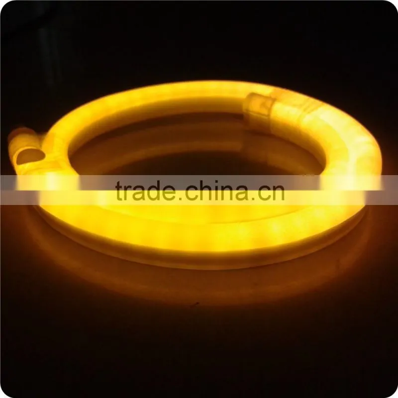15*25mm 220V 50meters led neon flex rope light