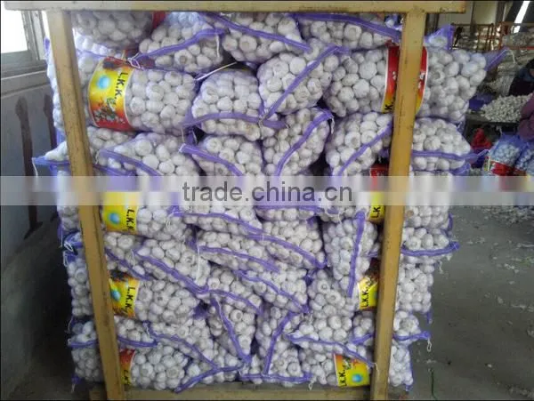 Red garlic with lowest price 2016