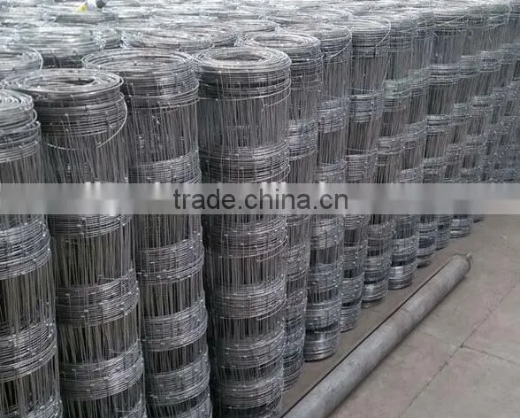 Hinged Joint Cattle Fencing