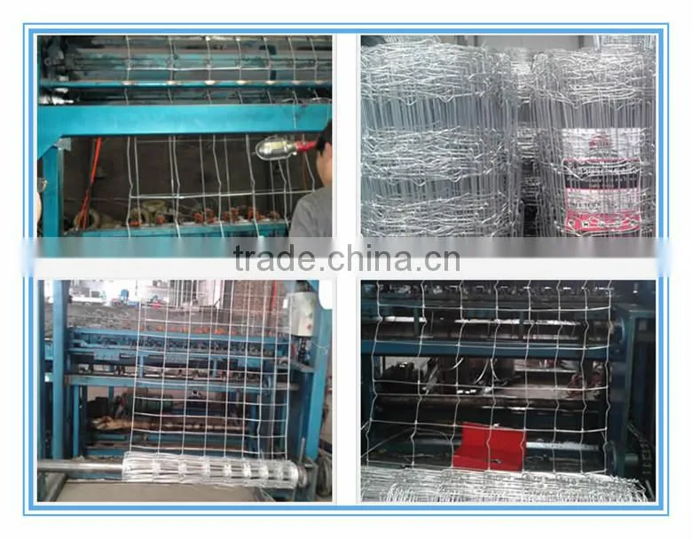 Hinged Joint Fencing/cattle fence/grassland fence/field fence