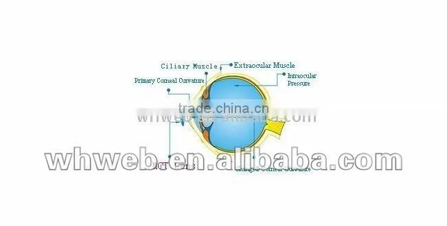 Medical care Digital Professional Lens (ortho-k:MCT)/RGP/