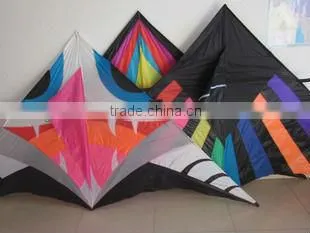3m delta kite
