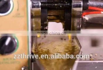 oil press machine with low price for pumpkin seed, cold press Moringa seed oil extracting machine