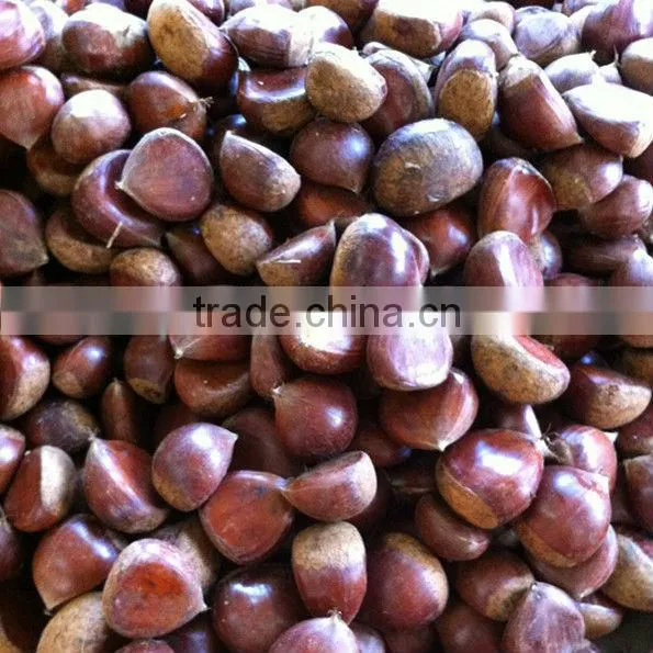 fresh chestnut,chestnuts wholesale