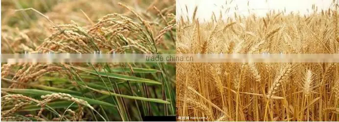 wheat crop cutter,wheat cutting machine