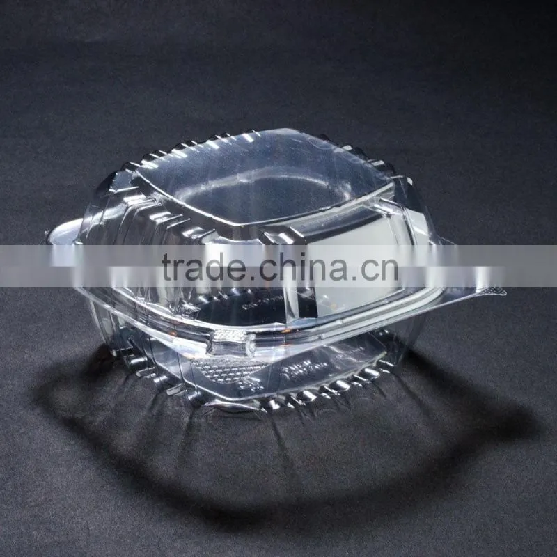 Clear Hinged Lid Plastic Container