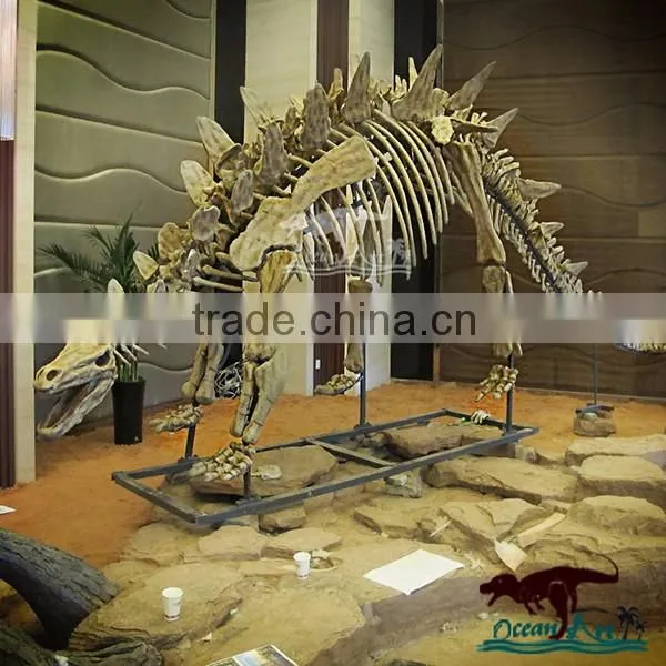 Life Size Dinosaur Fossil For Sale Inside Exhibition Display