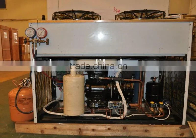 Individual quick freezer for instant freezing dumpling and dim sum