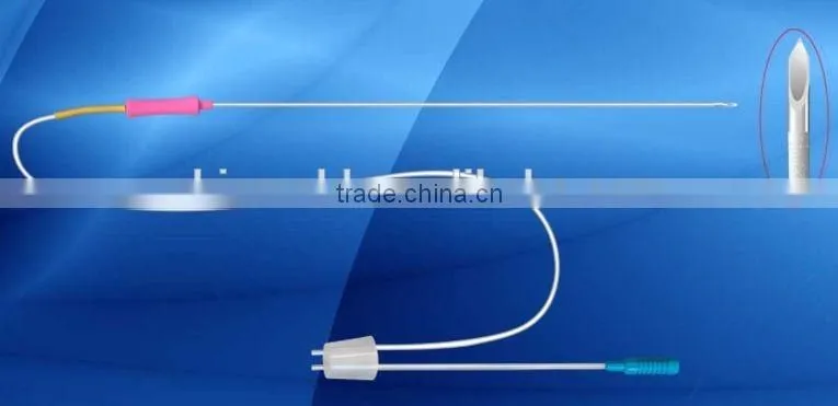 Oocyte insemination catheter