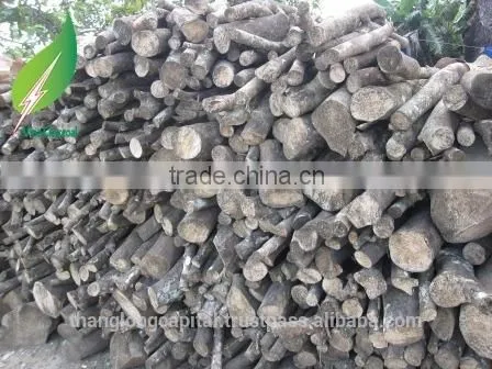 100% natural new barbecue softwood charcoal