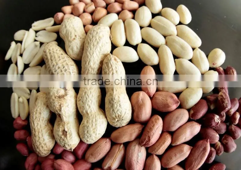 Red Skin Roasted Peanuts, Roasted peanuts with skin, Roasted peanut kernels