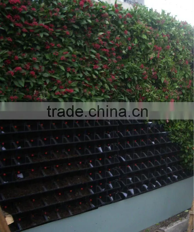 2012 new virtical garden green wall --pot plant supplier