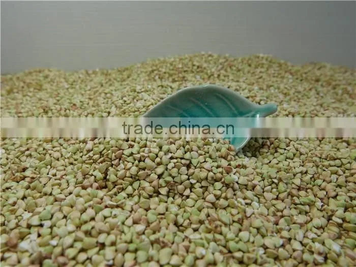 High Quality raw Sweet Buckwheat price