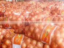new crop 5--8cm fresh red onion