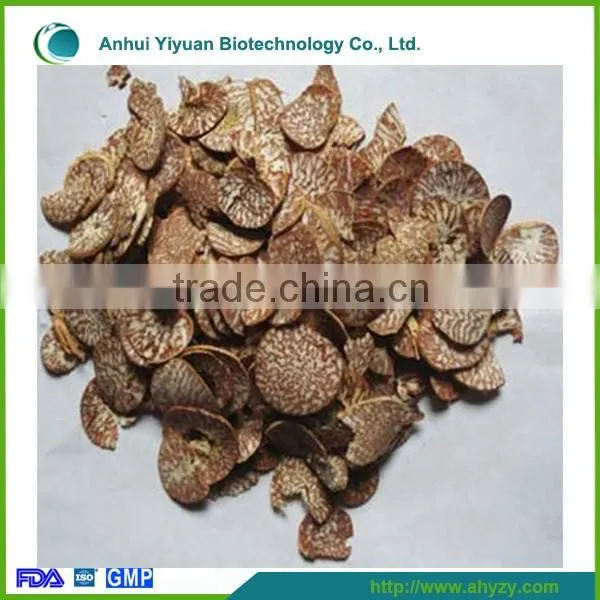 Supply high quality Areca catechu (Bing lang)