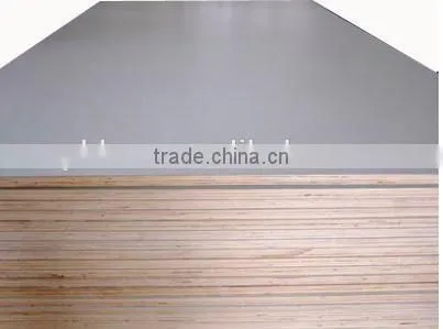 HPL high pressure laminated plywood poplar/ hardwood/combic/eucailptus/birch plywood