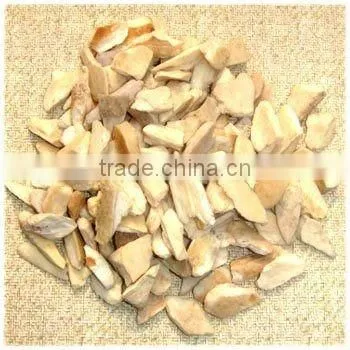 High Quality Real Cow and Buffalo Bone Collar Stay