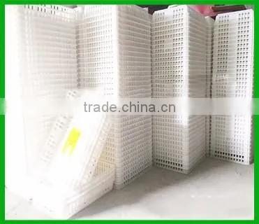 HB high quality customized chicken transport cage,wholesale plastic transport cage