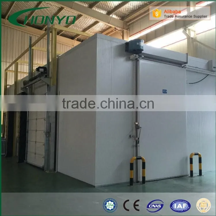 Large Capacity The Pu Panels Modular Walk In Air Blast Fast Deep Freezer Room For Meat Fish