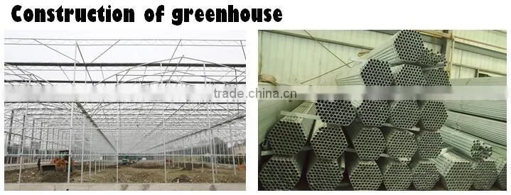 Multi Span Tunnel PE Plastic Film Hydroponic Systems Agricultural Commercial Greenhouse