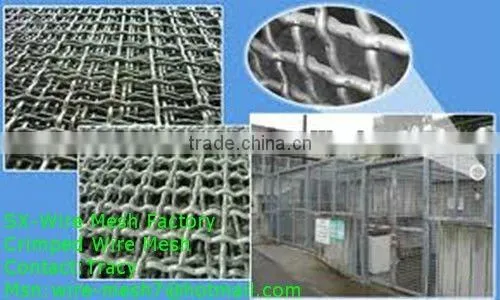 Salable Mine Sieving Mesh Crimped Wire Mesh (entity factory)