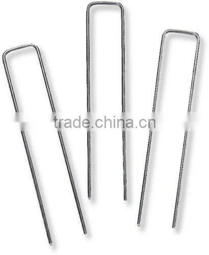 Sod Staples