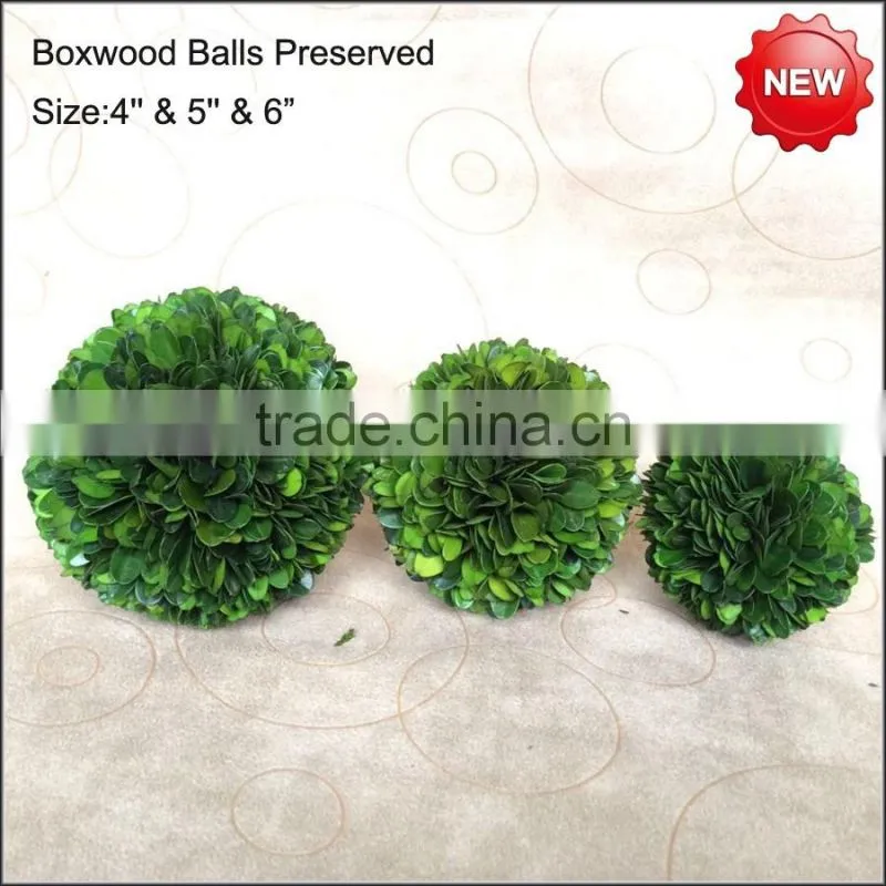 Cypress balls preserved