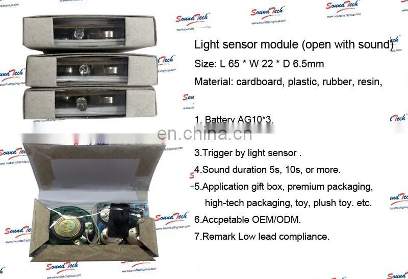 China Golden Supplier Custom programmable voice box