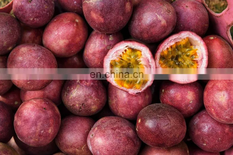 FRESH PASSION FRUITS WITH BEST PRICE AND HIGH QUALITY FROM VIETNAM