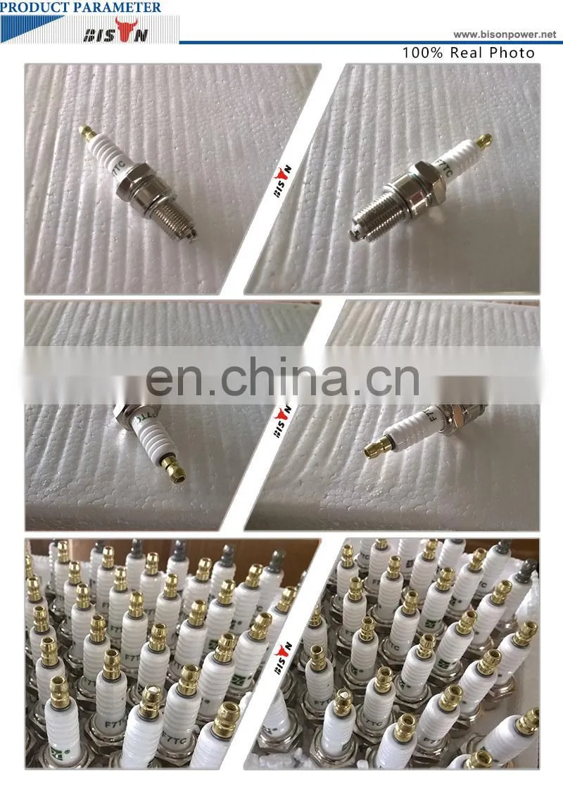Spark Plug For BS120 BS160 BS200 BS240 BS270 BS340 BS390 Generator Lawnmower