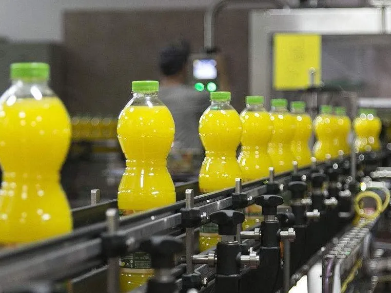 Large Capacity Single Channel Mango Fruit Pulping Machine Fruit Grinding Machine Fruit Juice Pressing Machine