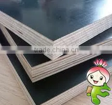 2014 hot film faced plywood
