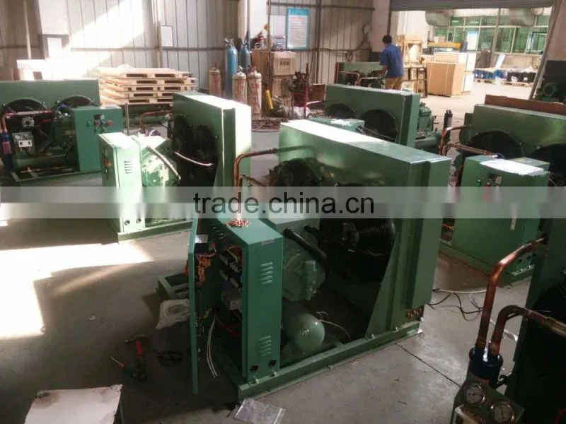 High quality air cooled condensing unit for cold room storage