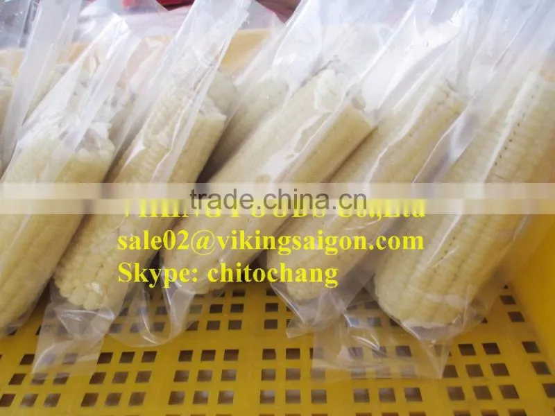 FROZEN BOILED CORN GOOD QUALITY FROM VIETNAM