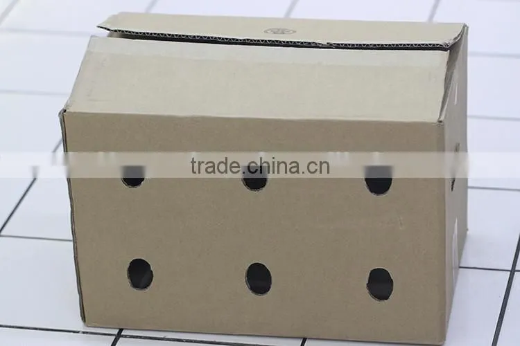 Paperboard Paper Type foldable recyclable fridge vegetable box