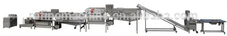 stainless steel vegetable washing machine/vegetable processing machine/vegetable cutting machine from Colead