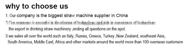 ML21 PP FLEXIBLE STRAW AUTO MAKING MACHINE