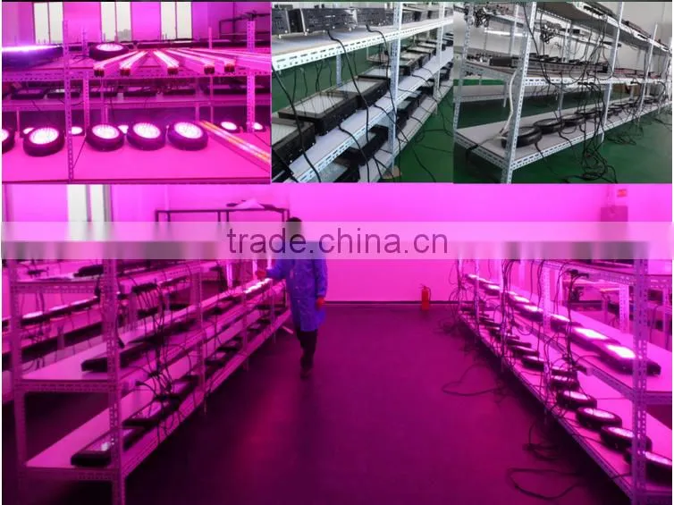 best selling products tiny house hydroponic grow systems Zeus LED plants grow light