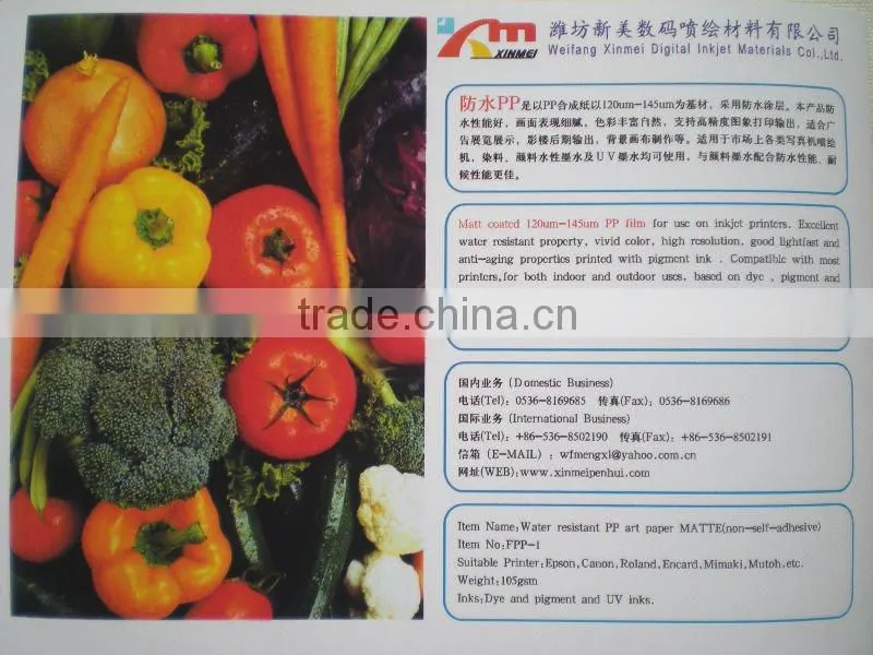 120gsm~150gsm waterproof high quality pp paper canvas factory