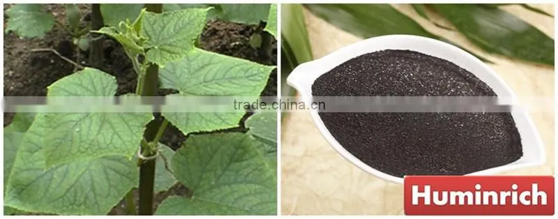 Huminrich Enhances Soil Fertility 55HA+12%K2O Potassium Humate Fertilizer For Greenhouse