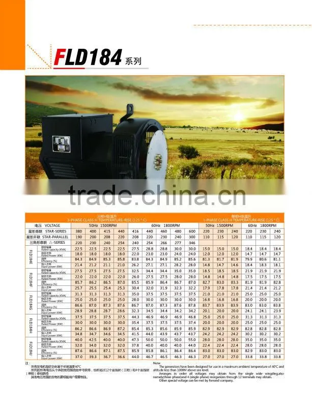 20kw ac single phase output type generator