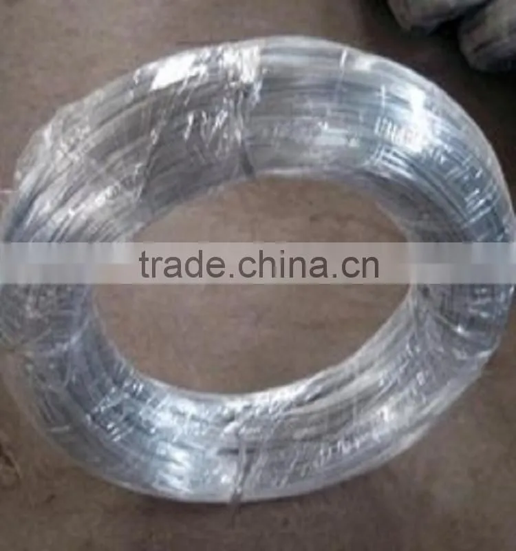 Low Price Electro Galvanized Straight Cut Wire from JINZHOU FACTORY