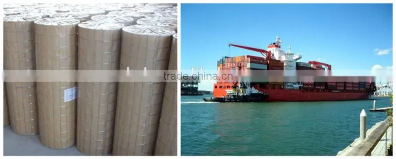 pvc coated welded hexagonal iron wire mesh, galvanized welded wire mesh on alibaba website