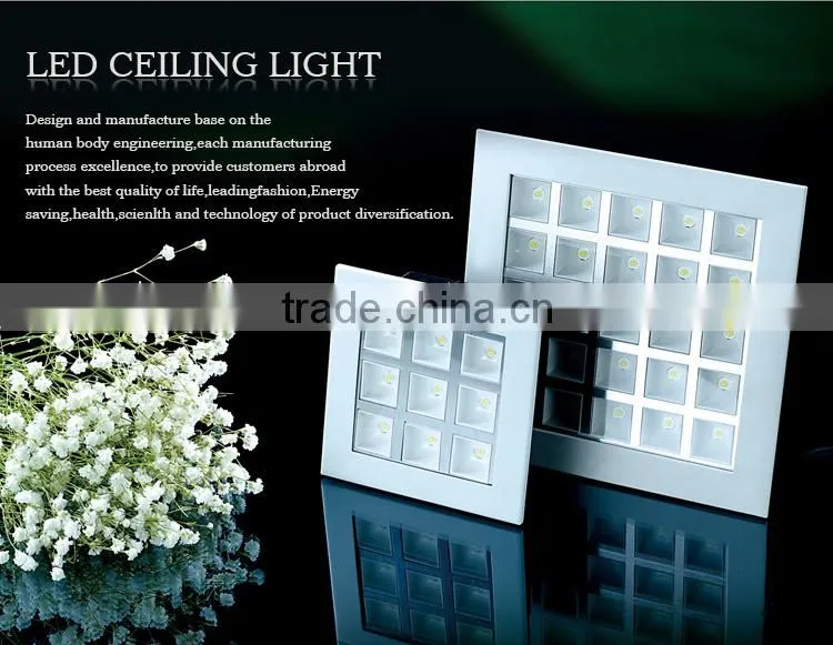 New Arrival Custom Design bean dj light 30w led moving head light