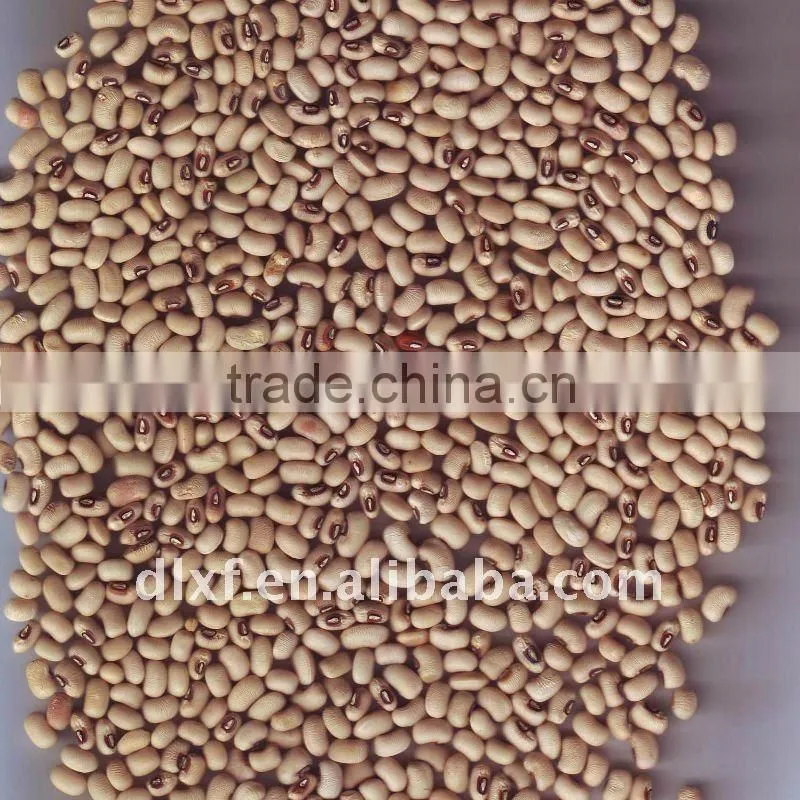 pink cowpea
